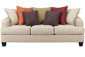 The New Couch